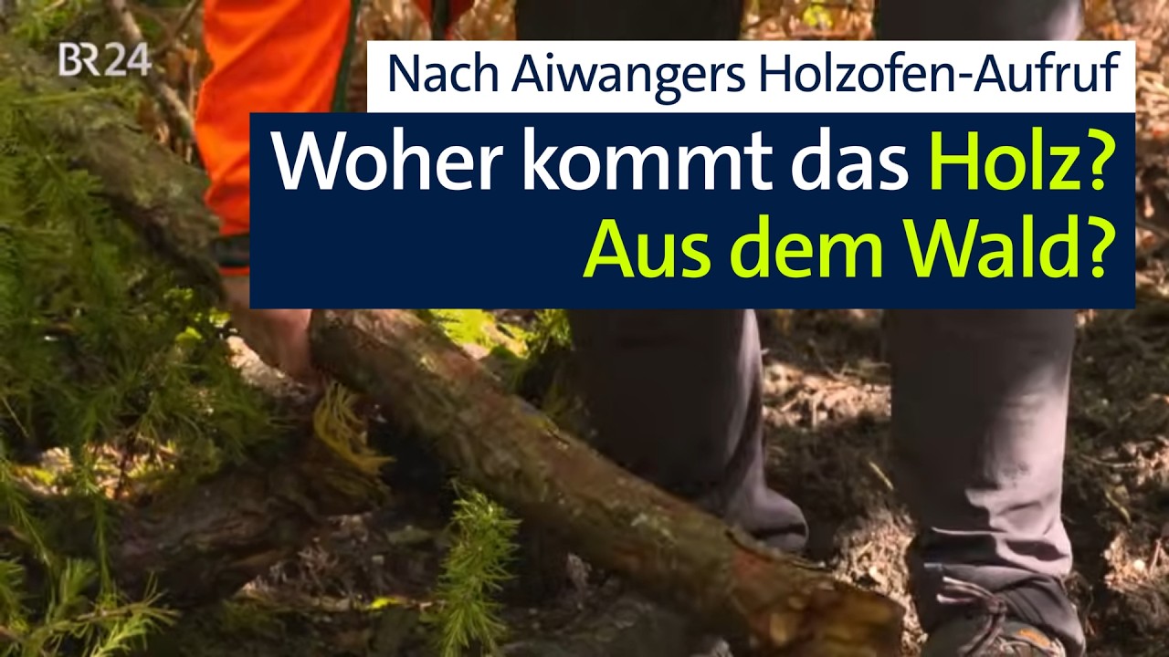 Aiwanger will mehr Holzöfen: Aber woher kommt das nötige Holz? | Abendschau | BR24