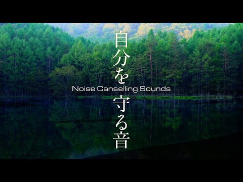 ノイズキャンセリング音でストレスを軽減、聴覚過敏さん用マスキング音８時間