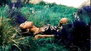 Wanna Love You -Solid Harmonie