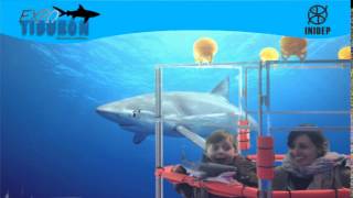 DIA 3 Expo Tiburon70