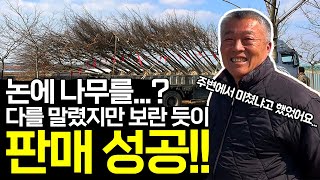논에 나무를 심는다고? 미쳤다더니... 결국 판매 성공!! (지기님 나무농사 인터뷰)