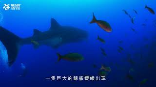 精彩加拉巴哥群島 達爾文篇