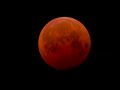 BLOOD MOON Total LUNAR ECLIPSE April 4 2015 Time Lapse Video