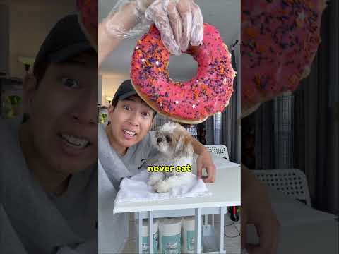 Please Help My Bestfriend