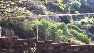 Ranch fence and roofing.