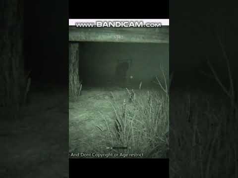 Gemini AI still isn't very much help... | Outlast 2