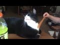 Tuxedo Cat Enjoying Scratching