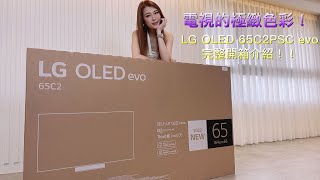 [心得] LG OLED 65C2PSC 簡易開箱分享