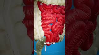 What Is A Hookworm? 😨 🪱