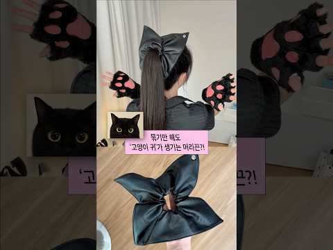 묶기만 했는데 고양이귀가 생겼어요 ㅋㅋㅋㅋㅋ