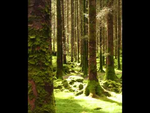 Dervish - Ar Éirinn ní nesfainn cé hí (with lyrics)