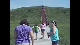 preview picture of video 'walking up steps at field trip'