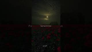 Download lagu Kaun Tujhe 🍁 | Aesthetic Status | Ms Dhoni - The Untold Story | Lyrics | #shorts mp3 Download lagu Kaun Tujhe 🍁 | Aesthetic Status | Ms Dhoni - The Untold Story | Lyrics | #shorts mp3