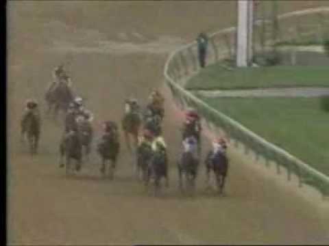 Sunday Silence - 1989 Kentucky Derby