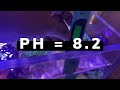 8.2 Ph In Freshwater Aquarium