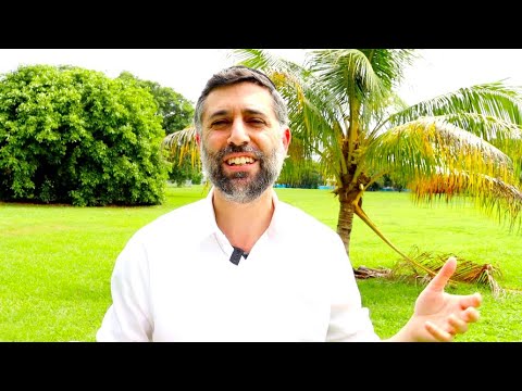 Bitachon 79 - Getting into a Bitachon Mindset