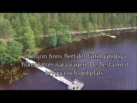 Lillsjön - Arbrå FVF