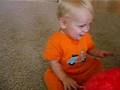 Dylan Vs Elmo