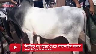 ভালো গরু ও সুস্থ গরু চেনার উপায়
