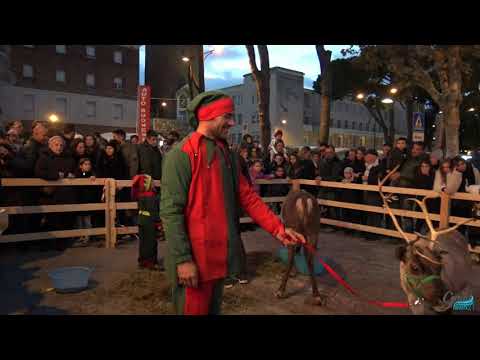 A GAETA ARRIVANO LE RENNE DI BABBO NATALE!