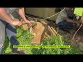Helical Pier Installation