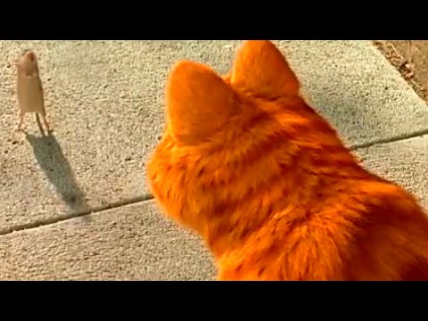 Garfield Conversa Com Louis | Garfield: O Filme (2004) DUBLADO HD