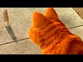 Garfield Conversa Com Louis Garfield O Filme 2004 DUBLADO HD