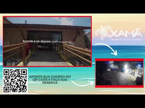PRAIA DE PIPA AO VIVO 🔴 O Paraíso do RN em Tempo Real | Preserve Pipa