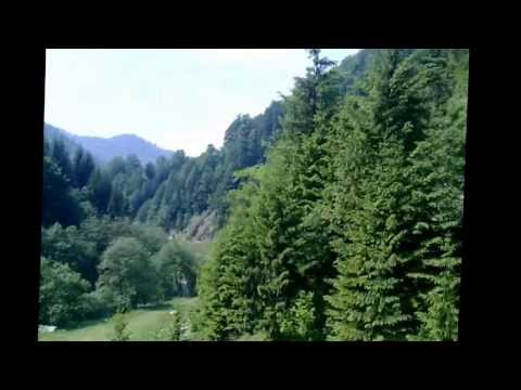 Valea Doamnei  Arges ,calare spre Vf  Moldoveanu