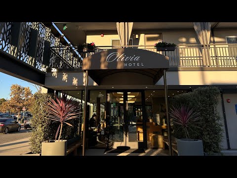 $200/night Luxury Boutique Hotel in Century City | Olivia Hotel Review + LA Travel Tips