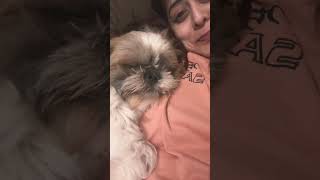 Download lagu Laila and love🩷 mp3