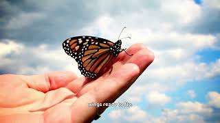 What is life cycle ...Amazing Life Cycles