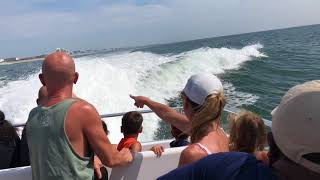 Wildwood/Cape May (Thundercat Boat Ride)