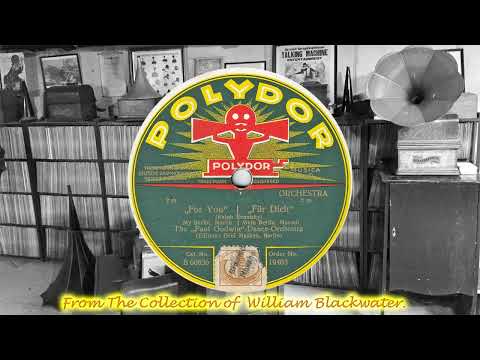 Paul Godwin Dance Orchestra, The - Mein Berlin