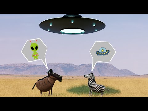 Savanna version - UFO