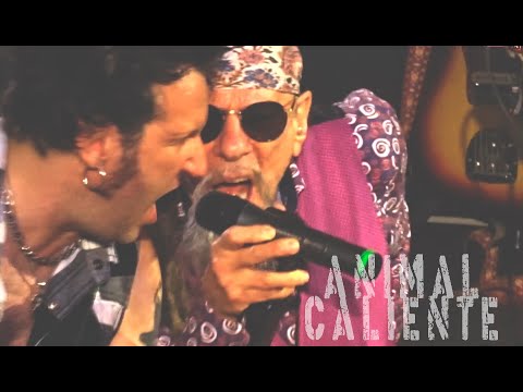 El Drogas BARRICADA 40 años Animal Caliente | Sala Oasis | Zaragoza