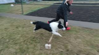 Charlie Agility