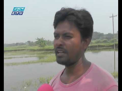 সাতক্ষীরায় মাছের ঘের ও পুকুর পাড়ে সবজি চাষ