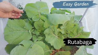 Easy GARDEN Maintenance Tips!