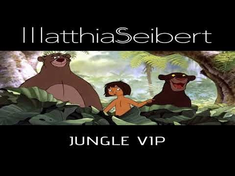 Matthias Seibert - Jungle VIP