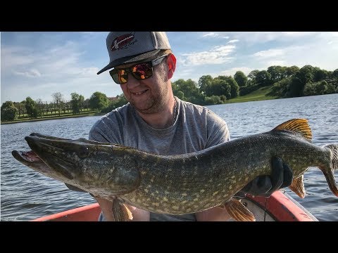 Gedde bonza på slotsøen– VILDT MANGE FISK!!!