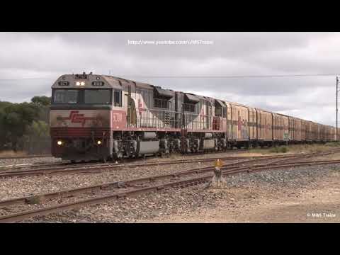 Triple NRs pass Coonaplyn Silo Art: Southline Rail Movements