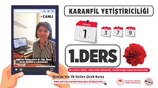 Karanfil ve Gül Yetiştiriciliğinin Temel İlkeleri 1.Ders