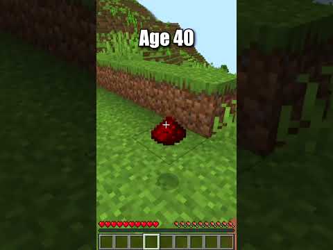 Kanerade - Minecraft Mini Bases at Different Ages (World's Smallest Violin)
