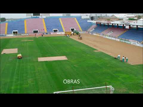 carlos belmonte y francisco de la hera|Carpe tops