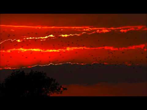 Haroun Omar - Sunset Kabul (Original Mix)