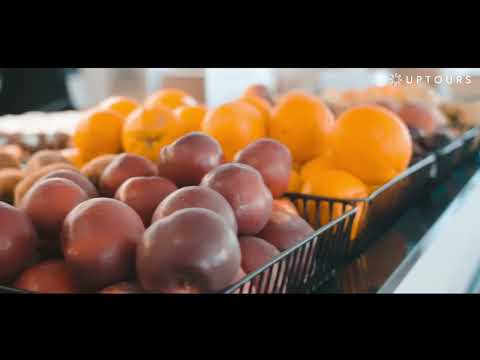 TRH Suites i Magaluf – Centralt hotel med pool & fleksible måltider | Uptours