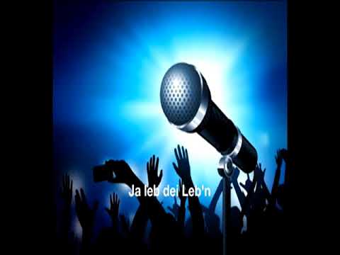 Harry singt: Ja leb dei Leb'n (Dust in the Wind)