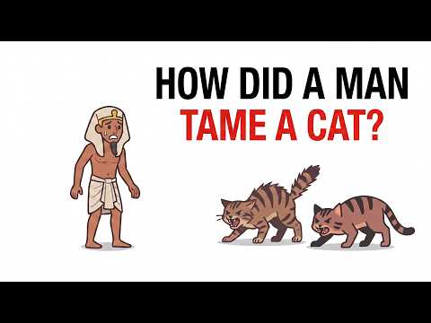 How did a man tame a cat?