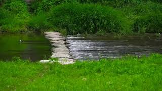 Download lagu Zindagi ko Guzarne Ke Liye | PankajUdhas, AlkaYagnik | Bollywood Song 1997, Mamta Kulkarni Songs mp3 Download lagu Zindagi ko Guzarne Ke Liye | PankajUdhas, AlkaYagnik | Bollywood Song 1997, Mamta Kulkarni Songs mp3